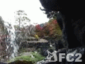 動画：20121125熱海梅園の梅見の滝